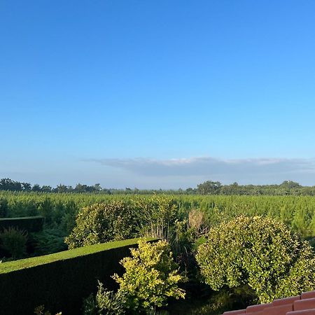 Jolie Maison De Vacances Avec Terrasse Et Jardin แซ็งต์-จูเลียง-อ็อง-บอร์ง ภายนอก รูปภาพ