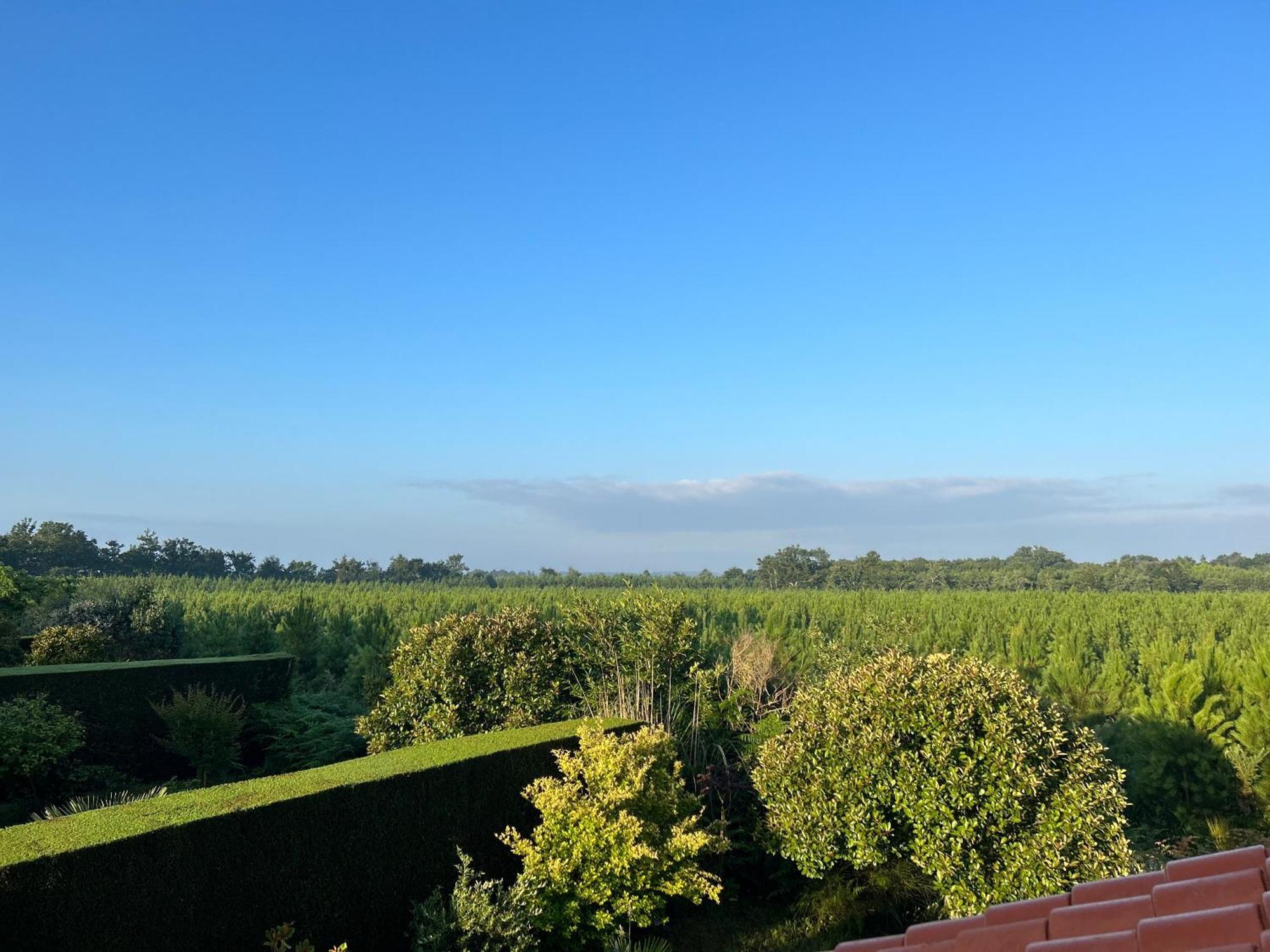 Jolie Maison De Vacances Avec Terrasse Et Jardin แซ็งต์-จูเลียง-อ็อง-บอร์ง ภายนอก รูปภาพ