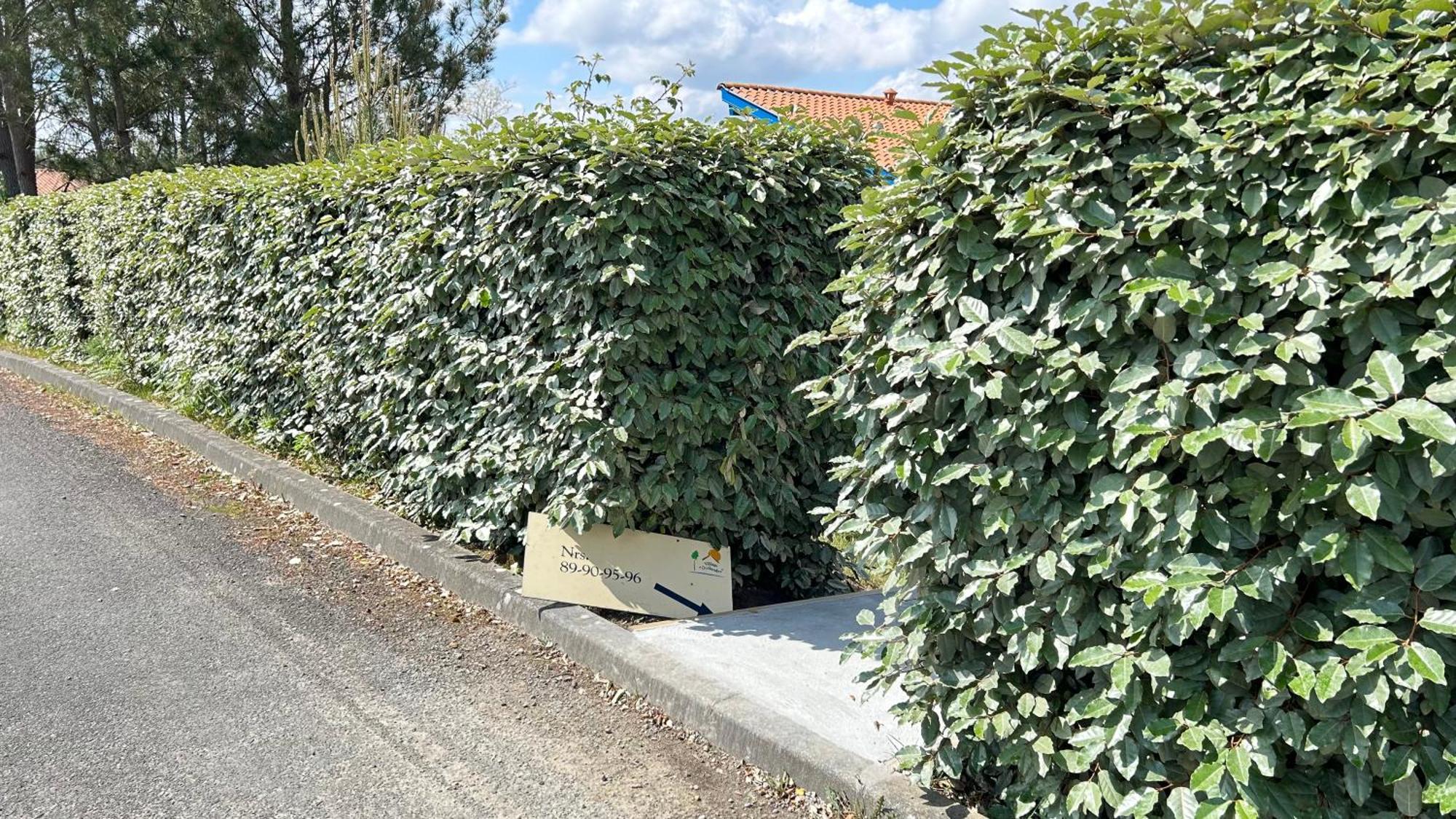 Jolie Maison De Vacances Avec Terrasse Et Jardin แซ็งต์-จูเลียง-อ็อง-บอร์ง ภายนอก รูปภาพ