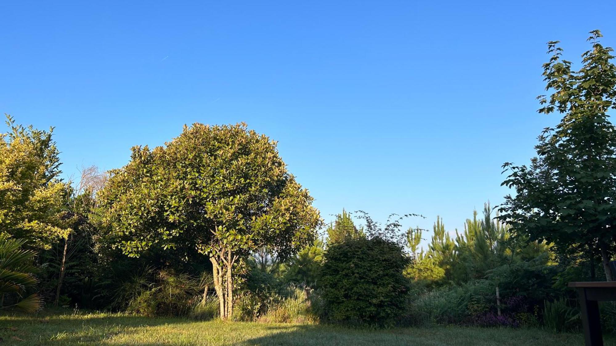 Jolie Maison De Vacances Avec Terrasse Et Jardin แซ็งต์-จูเลียง-อ็อง-บอร์ง ภายนอก รูปภาพ